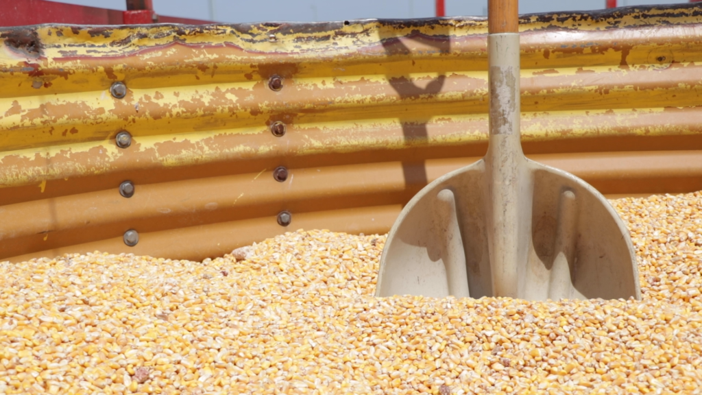 An inside look at a Grain Bin Rescue Kit Mountaire Farms Mountaire Farms