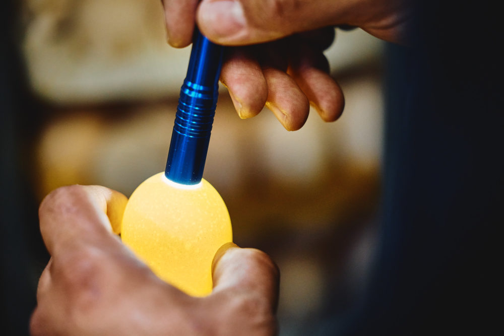 05_29_24_HATCHERY_N3A0109 (1)