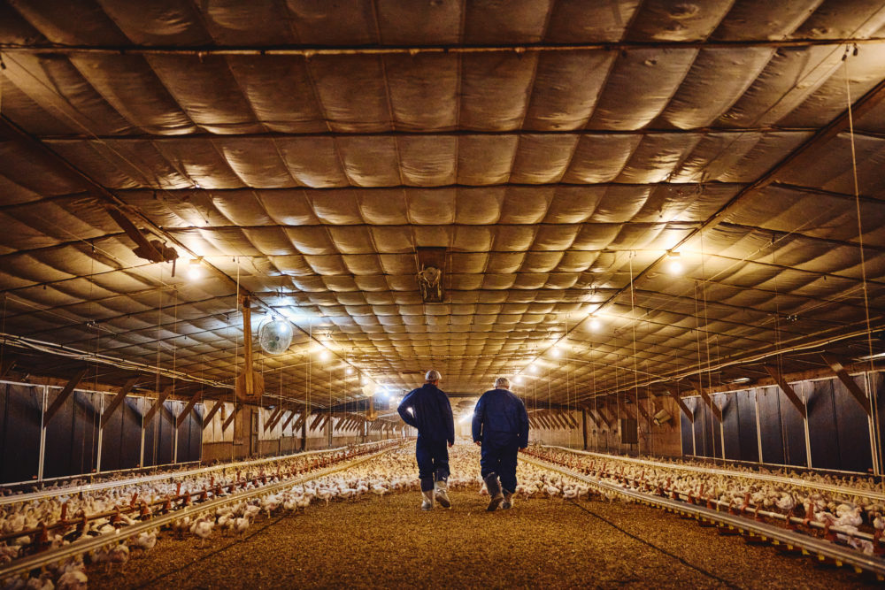 05_30_24_FARM_N1A1438 (2)